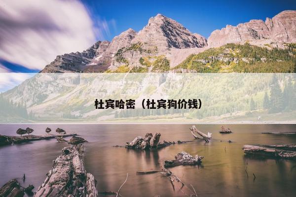 杜宾哈密（杜宾狗价钱）