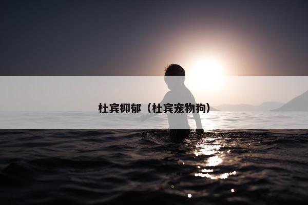 杜宾抑郁（杜宾宠物狗）