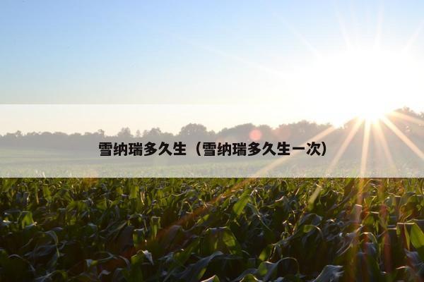 雪纳瑞多久生（雪纳瑞多久生一次）