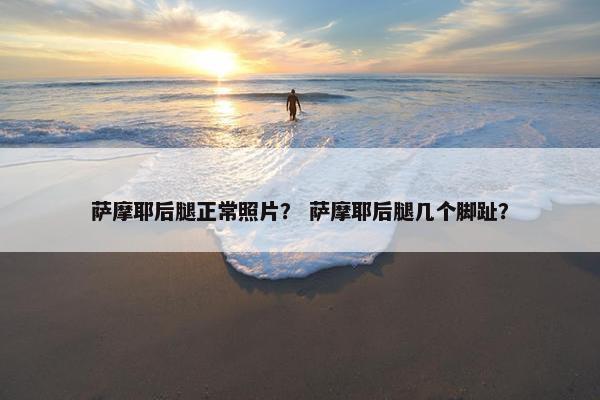 萨摩耶后腿正常照片？ 萨摩耶后腿几个脚趾？