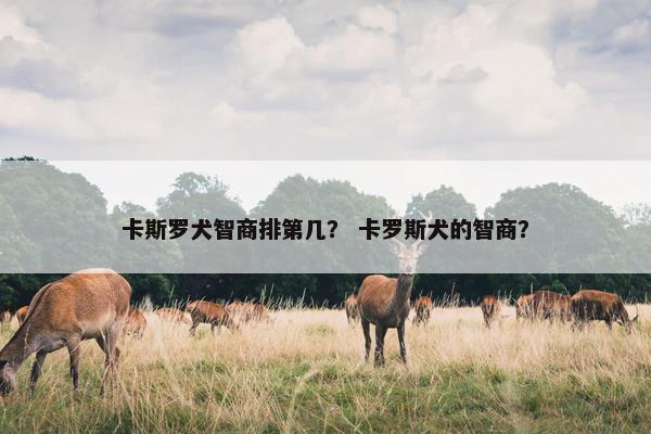 卡斯罗犬智商排第几？ 卡罗斯犬的智商？