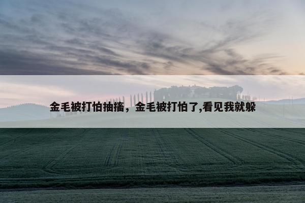 金毛被打怕抽搐，金毛被打怕了,看见我就躲