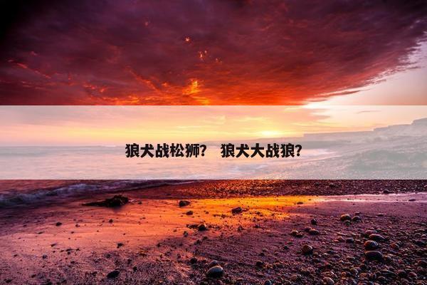 狼犬战松狮？ 狼犬大战狼？