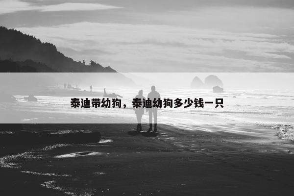 泰迪带幼狗，泰迪幼狗多少钱一只