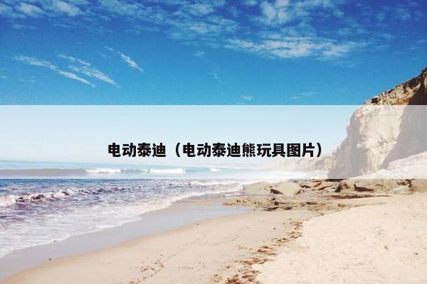 电动泰迪（电动泰迪熊玩具图片）
