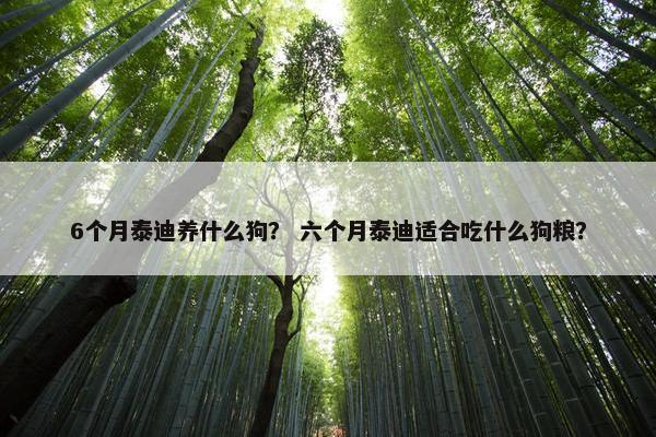6个月泰迪养什么狗？ 六个月泰迪适合吃什么狗粮？