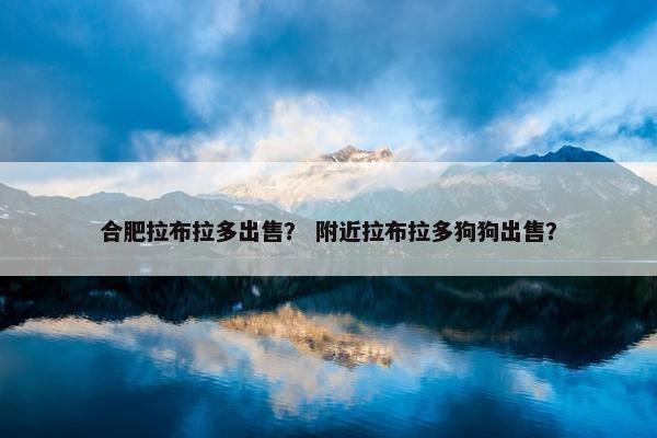 合肥拉布拉多出售？ 附近拉布拉多狗狗出售？