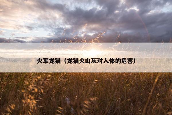 火军龙猫（龙猫火山灰对人体的危害）