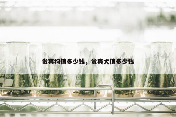 贵宾狗值多少钱，贵宾犬值多少钱