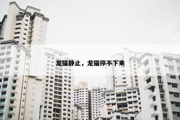 龙猫静止，龙猫停不下来