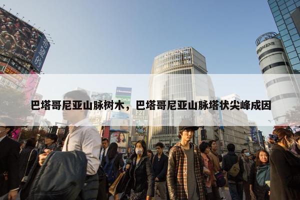 巴塔哥尼亚