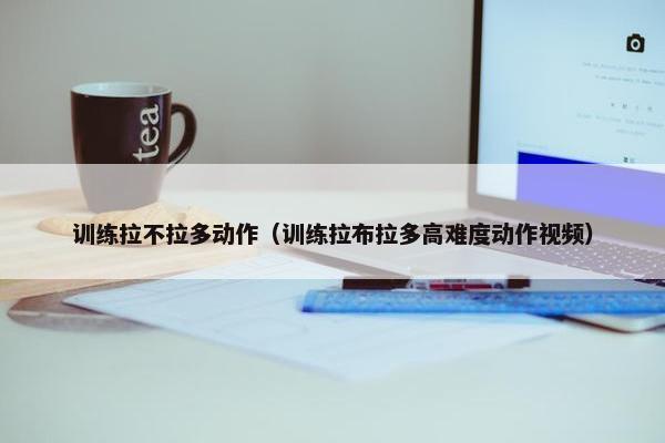 训练拉不拉多动作（训练拉布拉多高难度动作视频）
