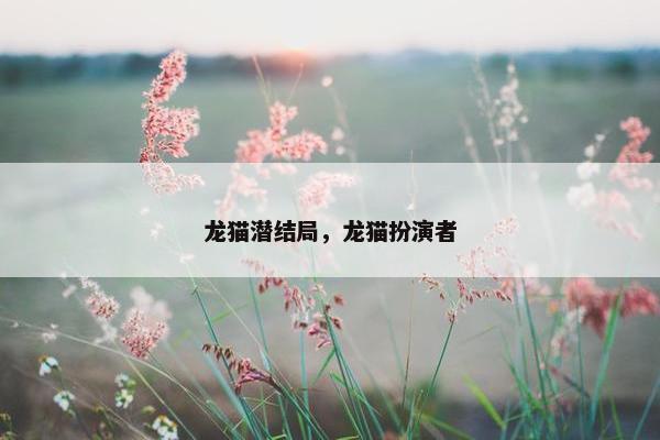 龙猫潜结局，龙猫扮演者