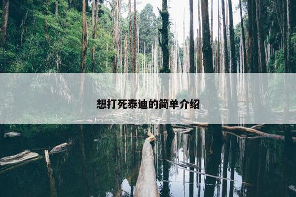 想打死泰迪的简单介绍