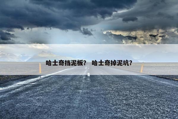 哈士奇挡泥板？ 哈士奇掉泥坑？