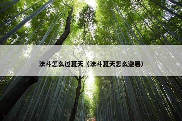 法斗怎么过夏天（法斗夏天怎么避暑）