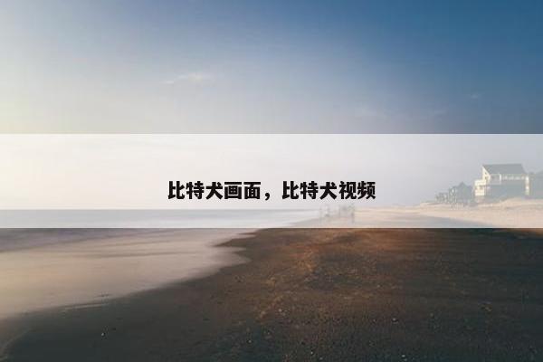比特犬画面，比特犬视频