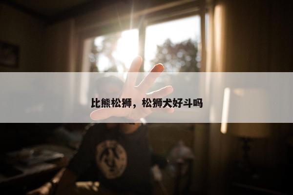 比熊松狮，松狮犬好斗吗