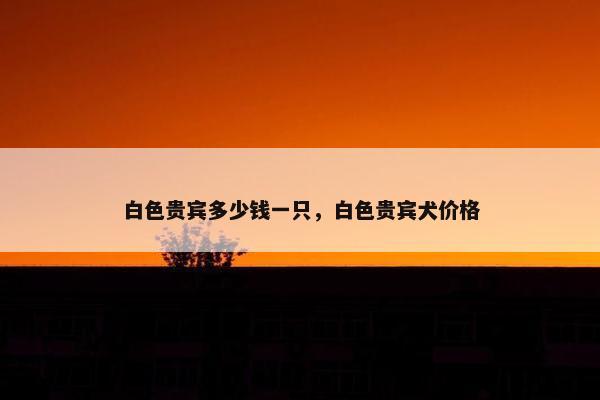 白色贵宾多少钱一只，白色贵宾犬价格