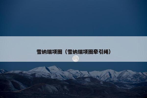 雪纳瑞项圈（雪纳瑞项圈牵引绳）