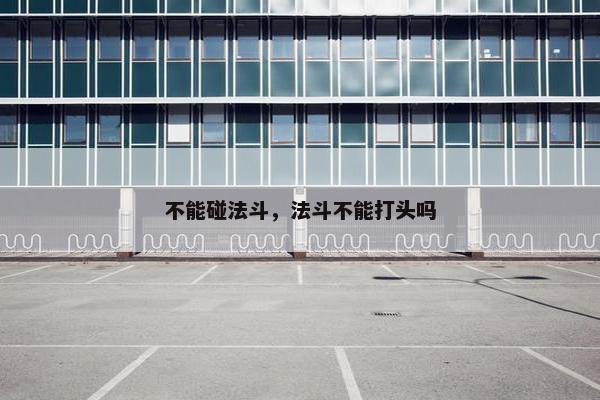不能碰法斗，法斗不能打头吗