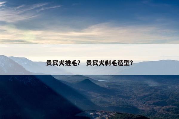 贵宾犬推毛？ 贵宾犬剃毛造型？