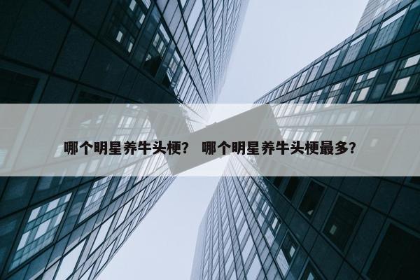 哪个明星养牛头梗？ 哪个明星养牛头梗最多？