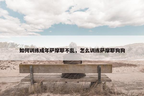 如何训练成年萨摩耶不乱，怎么训练萨摩耶狗狗