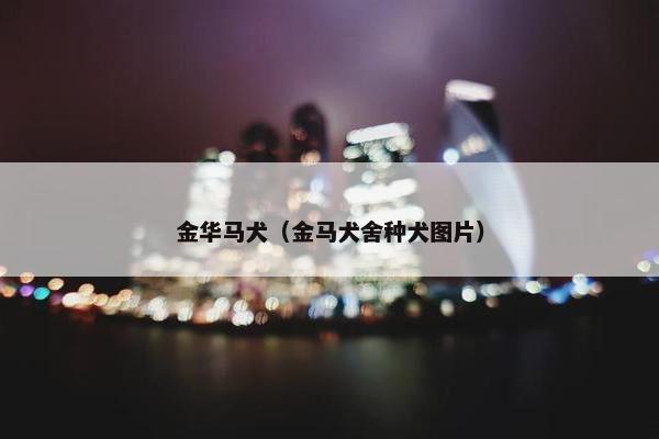 金华马犬（金马犬舍种犬图片）