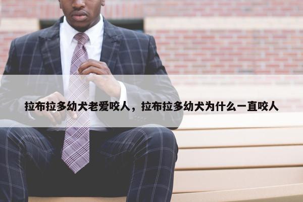 拉布拉多幼犬老爱咬人，拉布拉多幼犬为什么一直咬人