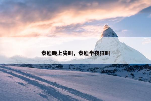 泰迪晚上尖叫，泰迪半夜狂叫