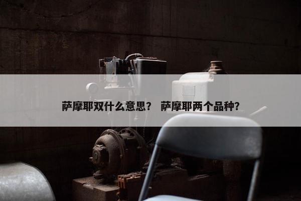 萨摩耶双什么意思？ 萨摩耶两个品种？