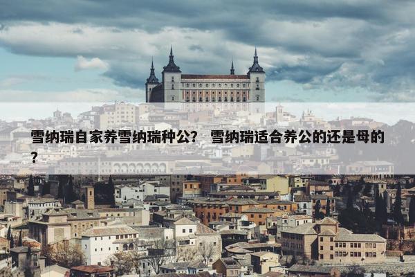 雪纳瑞自家养雪纳瑞种公？ 雪纳瑞适合养公的还是母的？