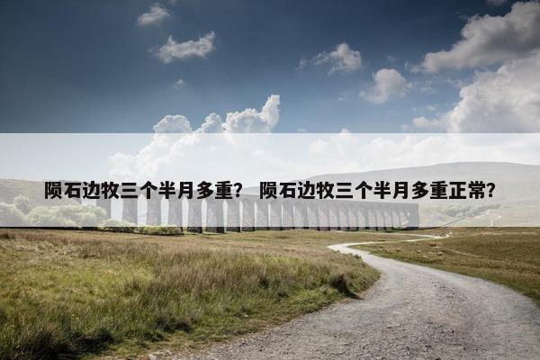 陨石边牧三个半月多重？ 陨石边牧三个半月多重正常？