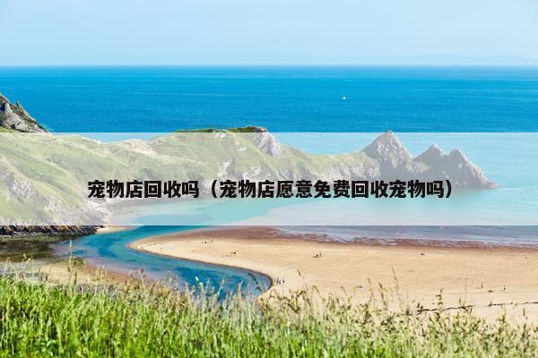 宠物店回收吗（宠物店愿意免费回收宠物吗）