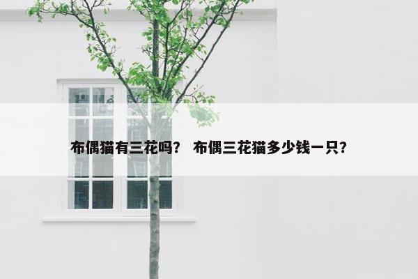 布偶猫有三花吗？ 布偶三花猫多少钱一只？