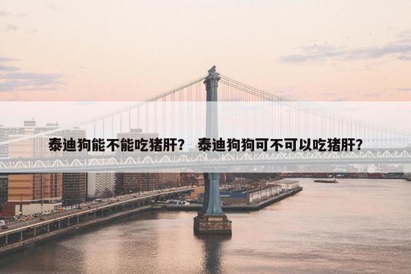 泰迪狗能不能吃猪肝？ 泰迪狗狗可不可以吃猪肝？