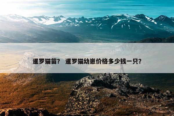 暹罗猫苗？ 暹罗猫幼崽价格多少钱一只？