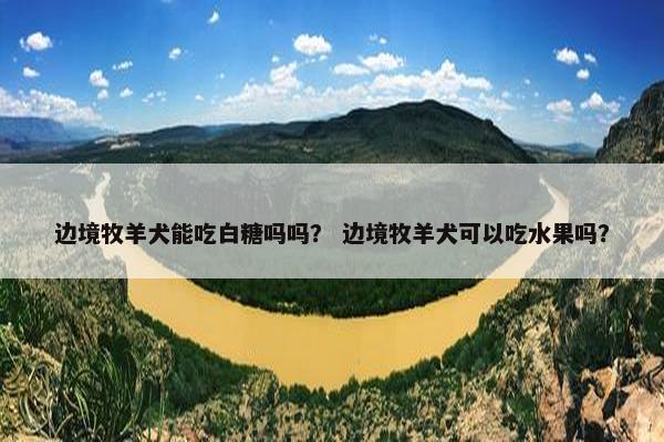 边境牧羊犬能吃白糖吗吗？ 边境牧羊犬可以吃水果吗？