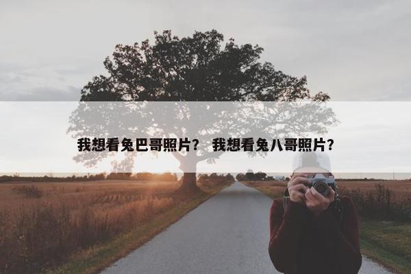 我想看兔巴哥照片？ 我想看兔八哥照片？