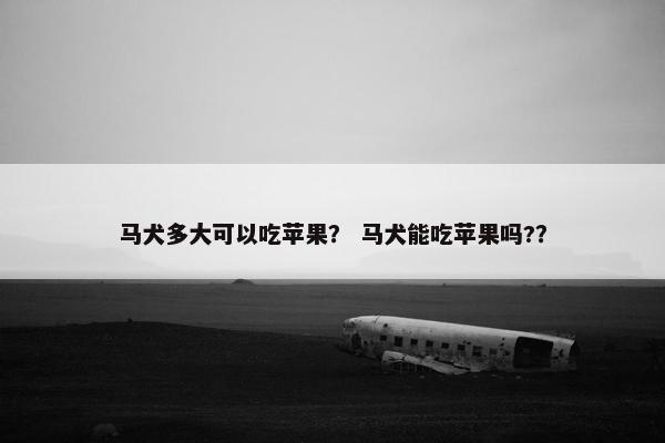 马犬多大可以吃苹果？ 马犬能吃苹果吗?？
