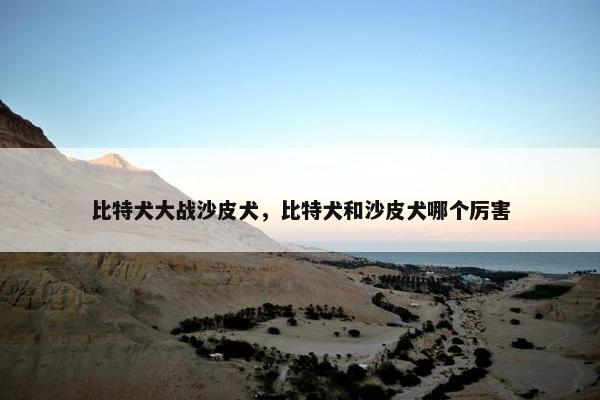 比特犬大战沙皮犬，比特犬和沙皮犬哪个厉害