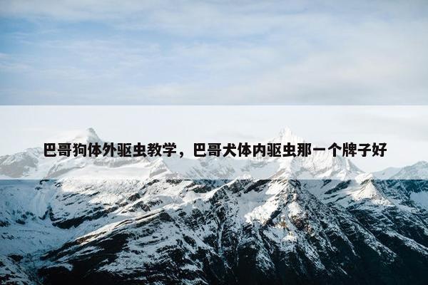 巴哥狗体外驱虫教学，巴哥犬体内驱虫那一个牌子好