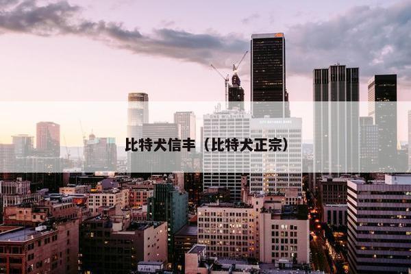 比特犬信丰（比特犬正宗）