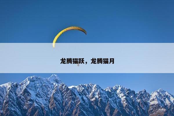龙腾猫跃，龙腾猫月