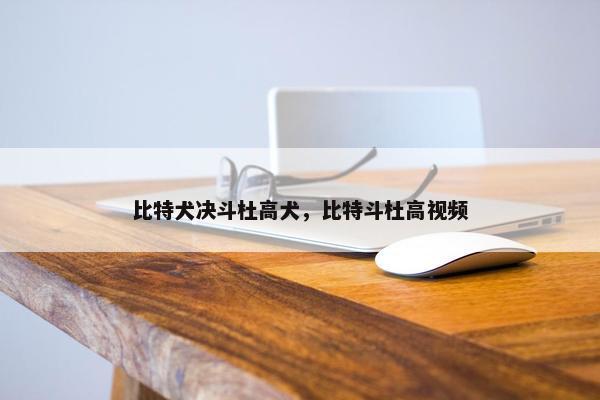 比特犬决斗杜高犬，比特斗杜高视频