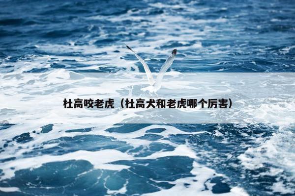 杜高咬老虎（杜高犬和老虎哪个厉害）