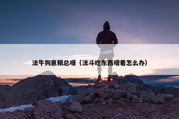 法牛狗崽粮总噎（法斗吃东西噎着怎么办）
