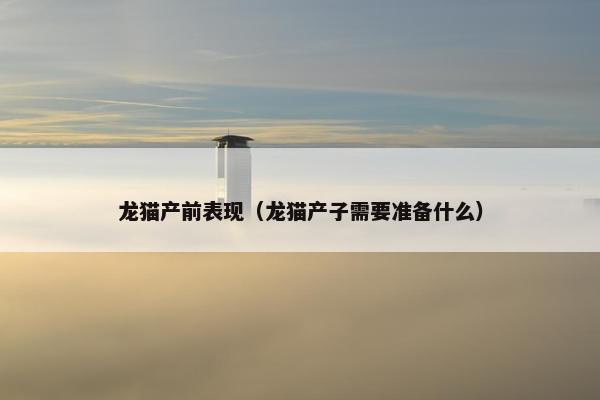 龙猫