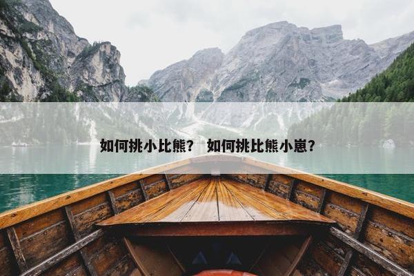 如何挑小比熊？ 如何挑比熊小崽？